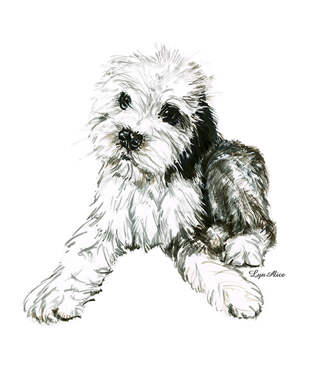 Sheepadoodle Puppy ~ Watercolor